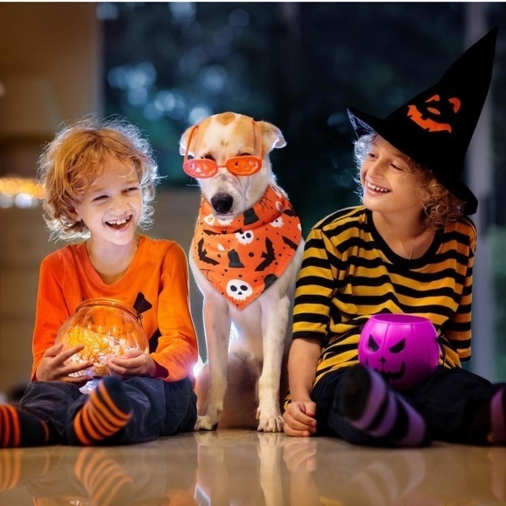 SANWUTA  Halloween Dog triangle Bandanas set of 10 Halloween print size XL